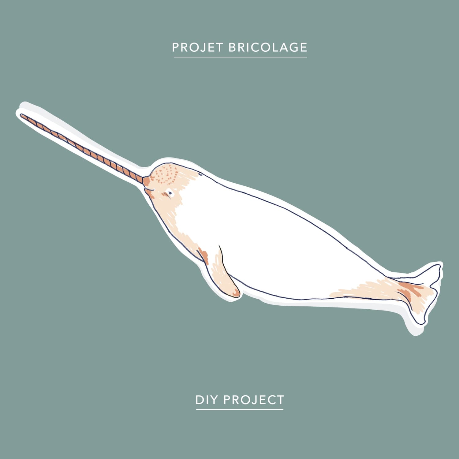 The narwhal – Baltic Club