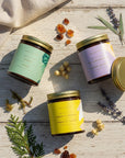 Vue de dessus du coffret cadeau bougies Collection Rêverie avec Hinoki, Fleur de Saule, Ambre et Jasmin en bocaux en verre teinté
