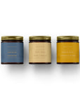 3 Candles Bundle - Cold season