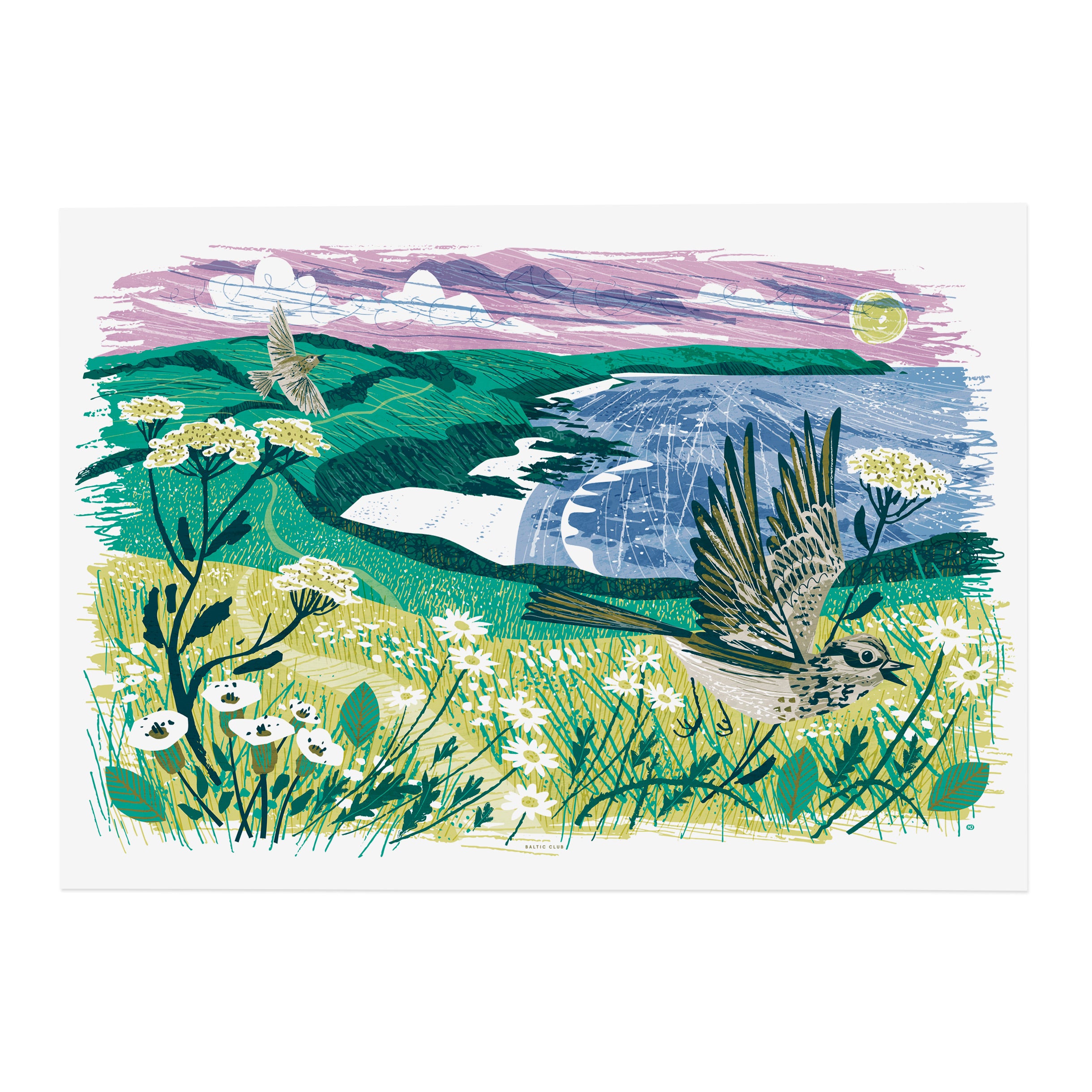Affiche Alouettes de la Baie de Gerrans par Matthew Johnson