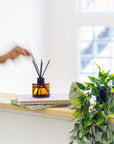 Amber & Jasmine Reed diffuser - Baltic Club