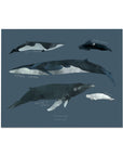 Whales Art Print | 8 x 10 | The Baltic Club