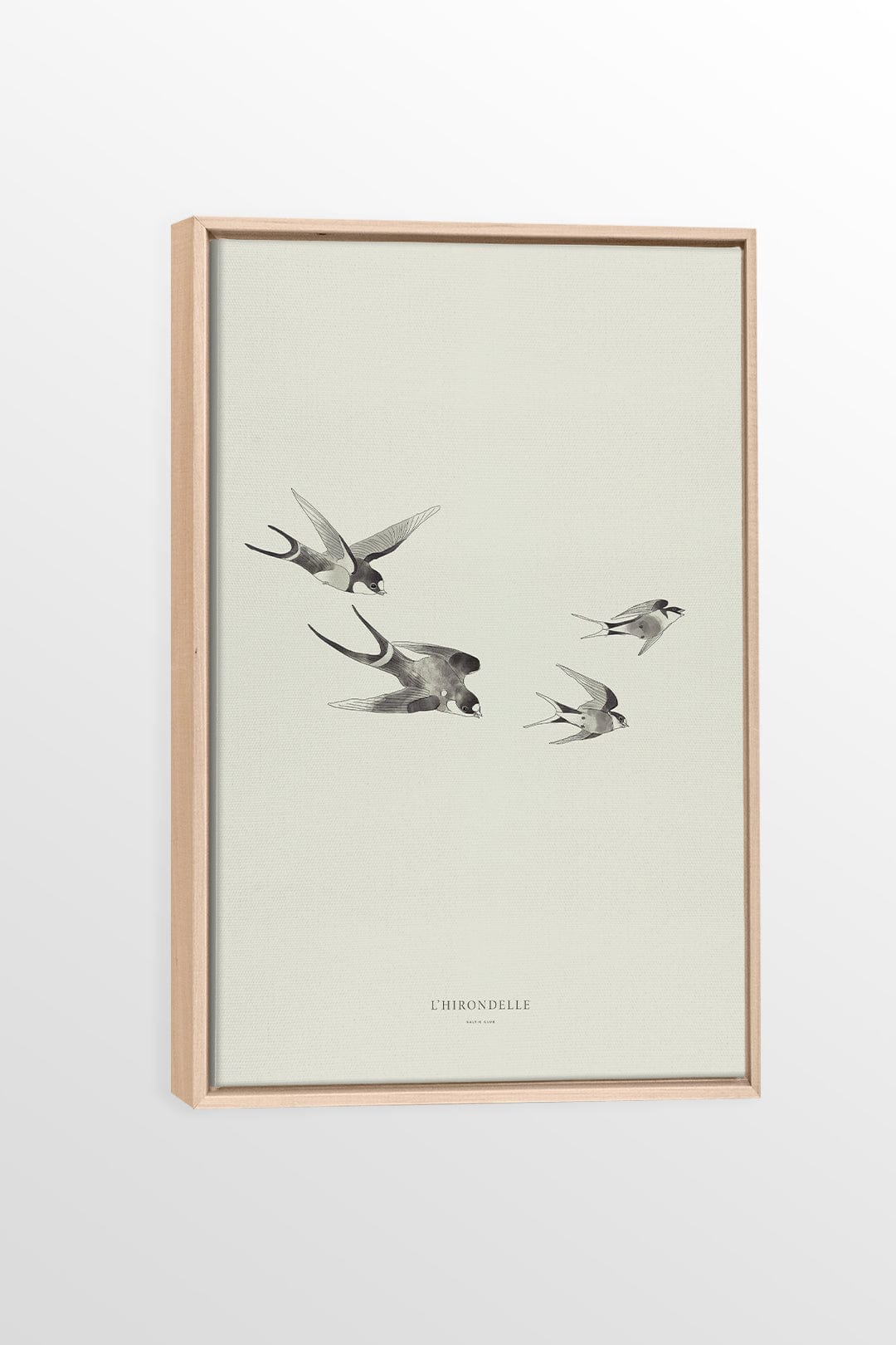Swallow - Printed illustration on canvas
