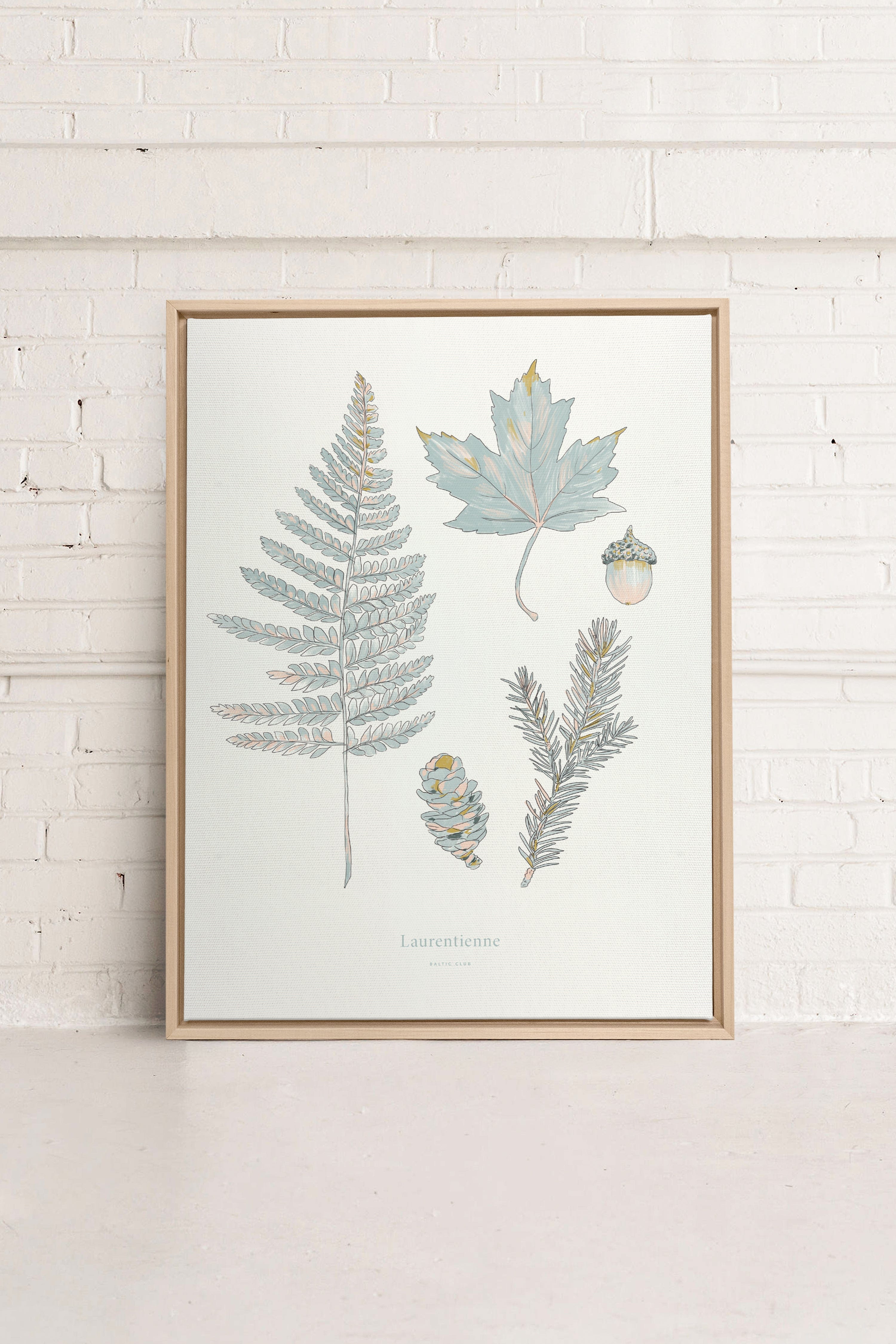 Laurentian Forest - Printed illustration on canvas