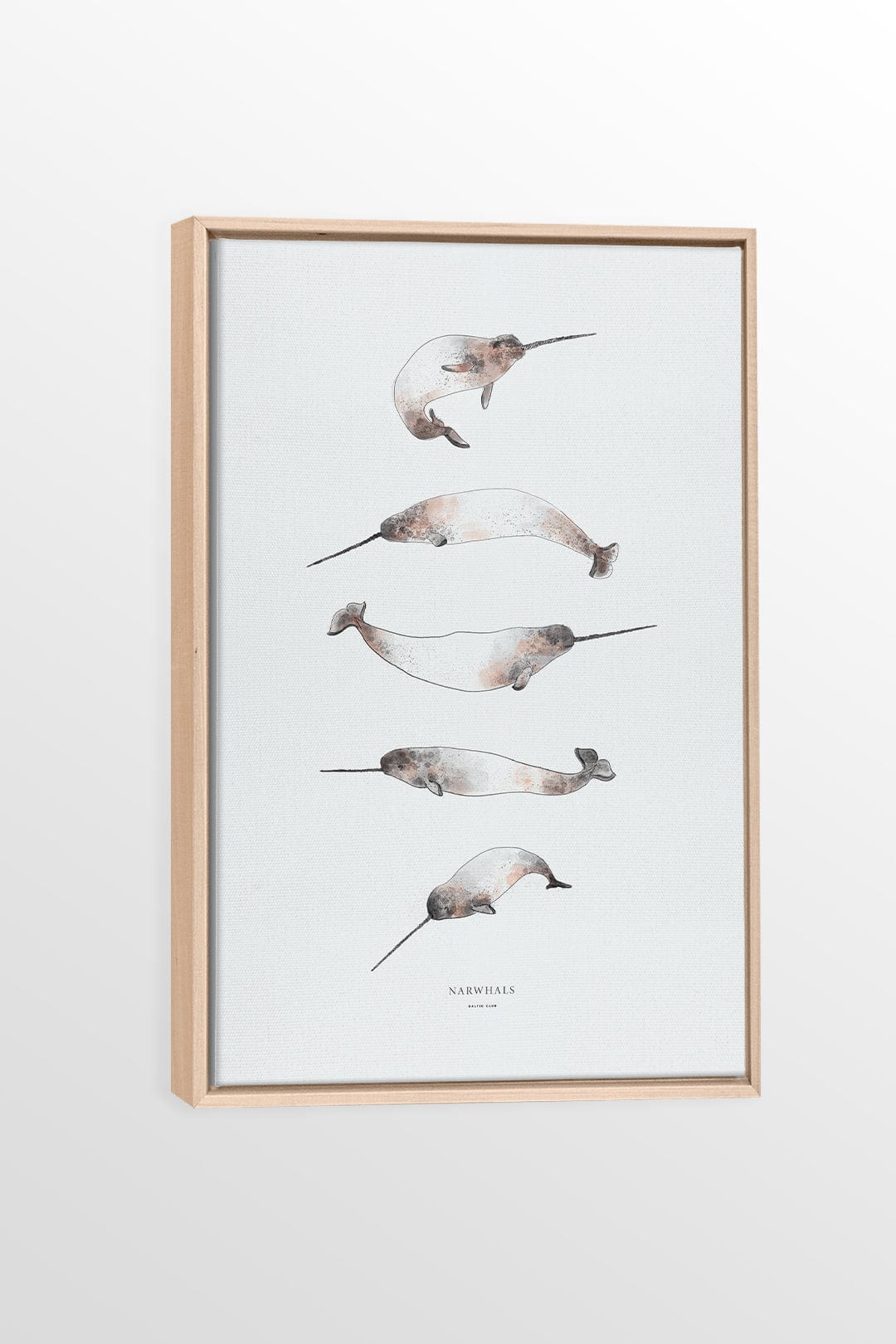 Narwhals - Printed illustration on canvas
