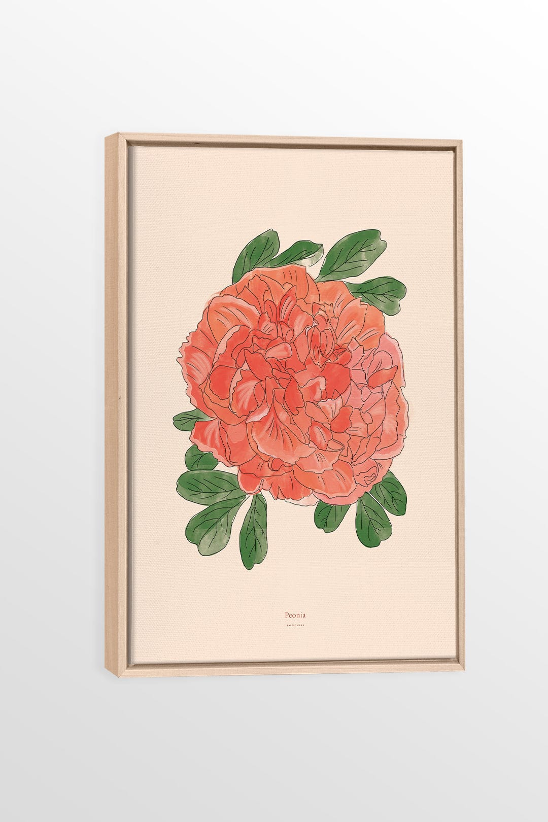 Peony - Printed illustration on canvas