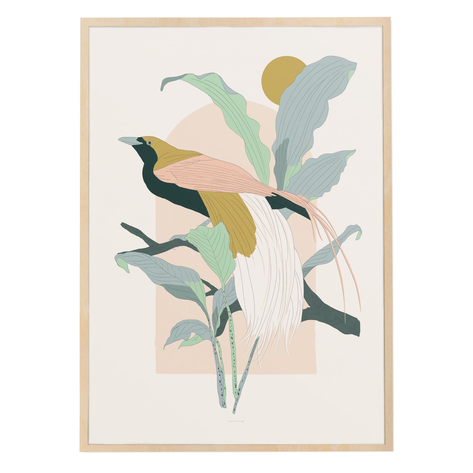 Arcade (Greater Bird-of-Paradise) Art Print | The Baltic Club