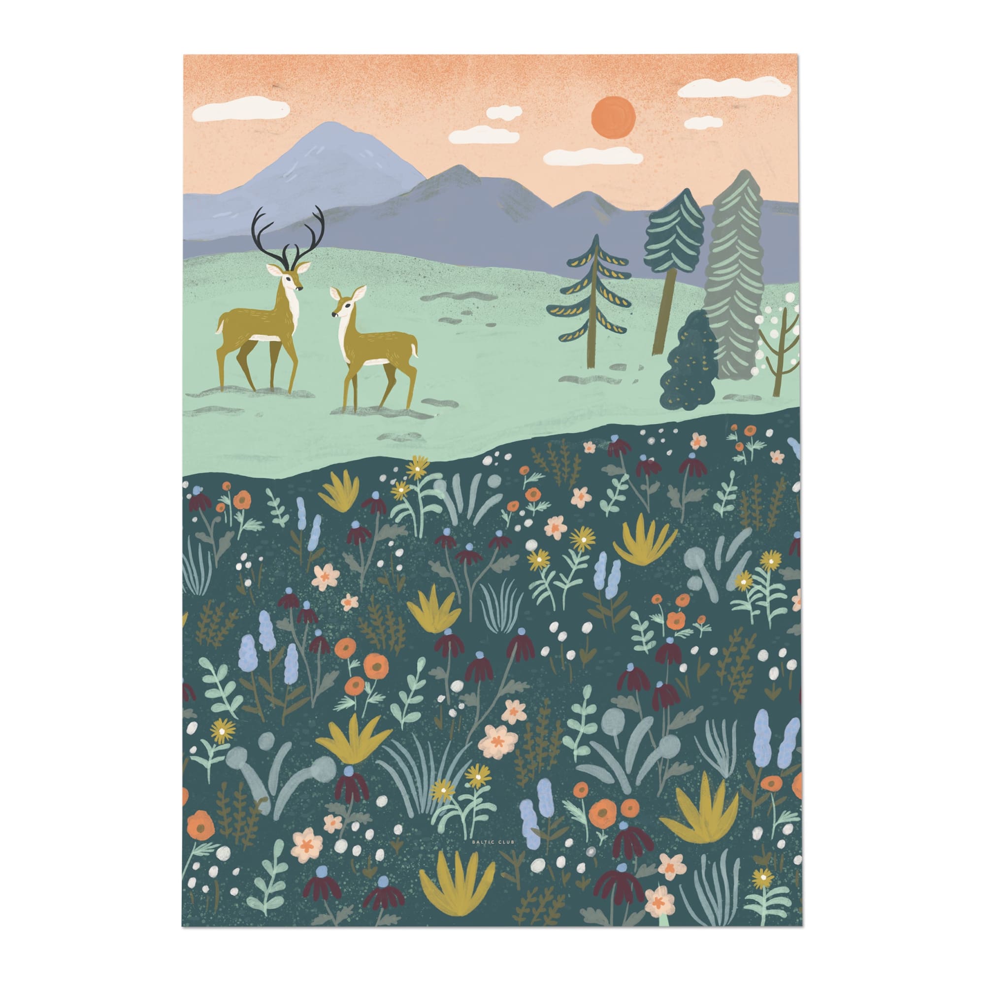 Deer Art print | Sarah Walsh