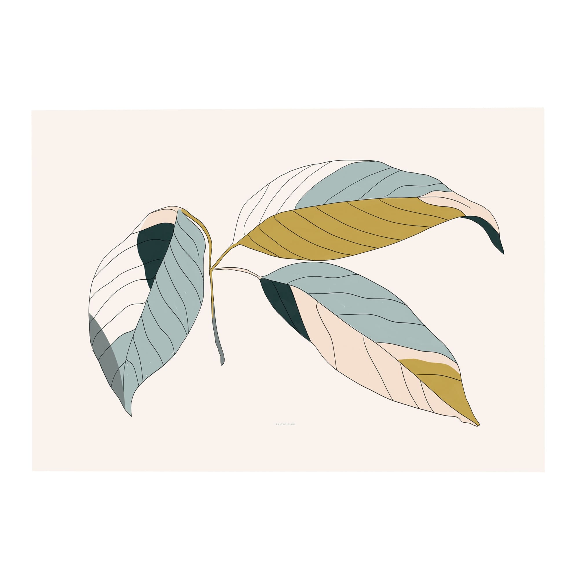 Herbal Art Print | The Baltic Club