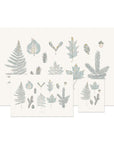Laurentian Forest Art Print - Baltic Club