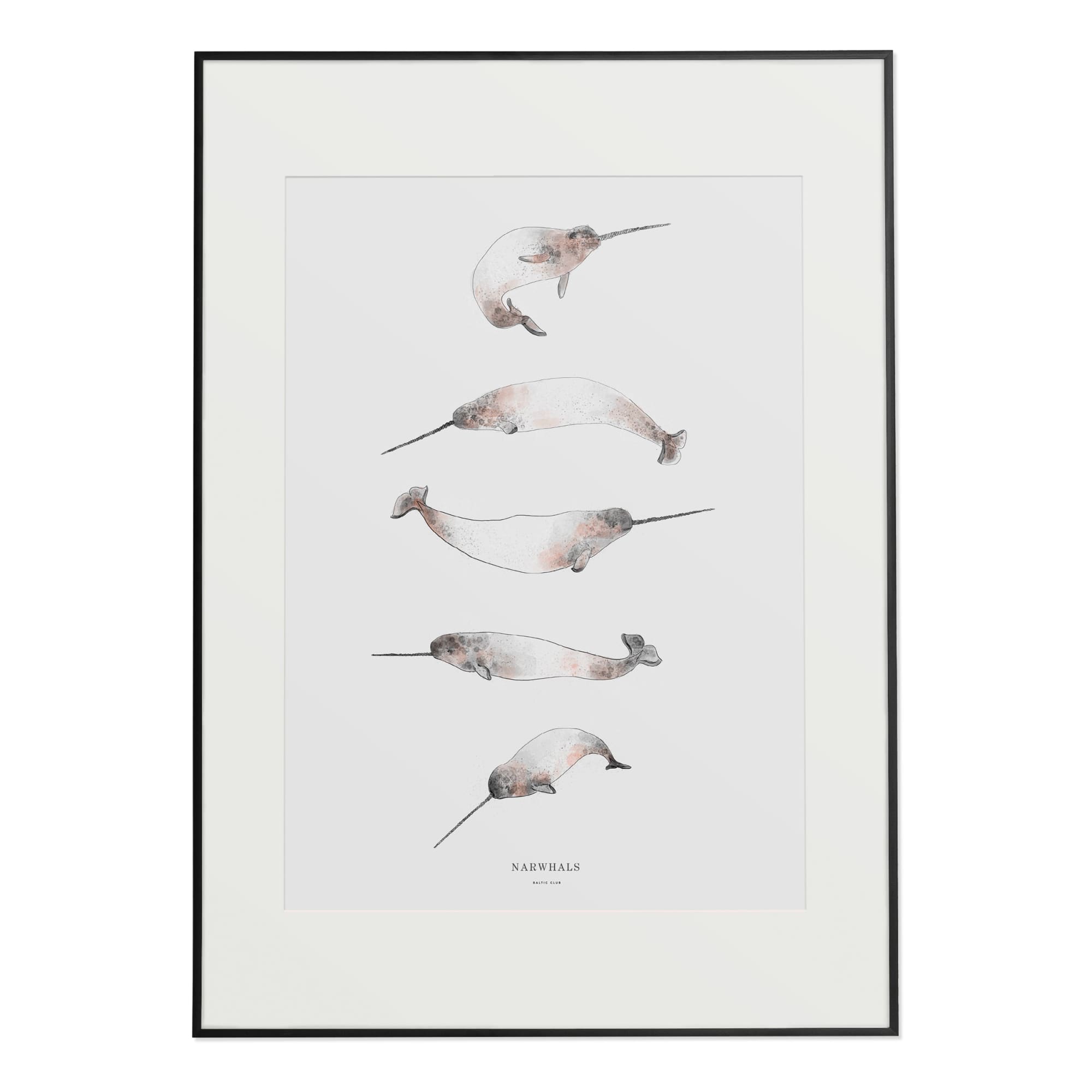 Narwhals Art Print | The Baltic Club