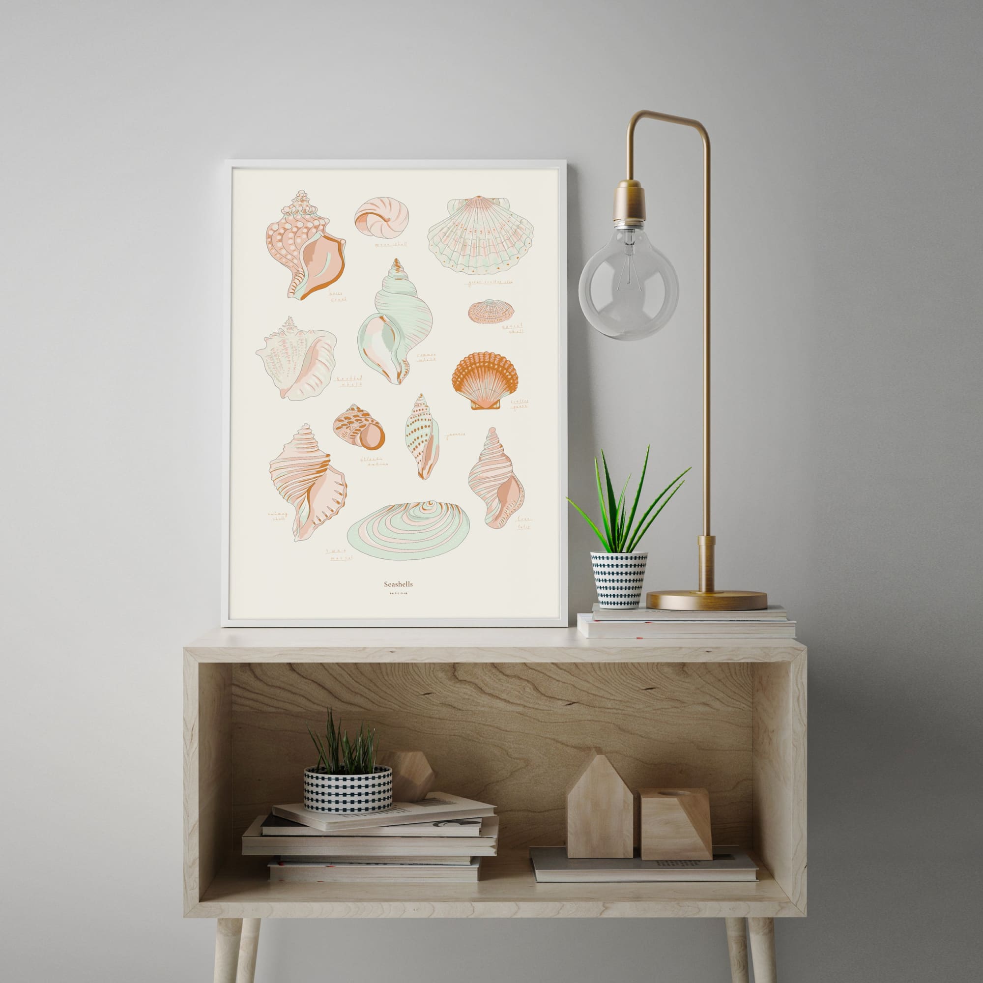 Seashells Art Print | The Baltic Club