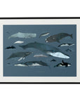 Whales Art Print | The Baltic Club