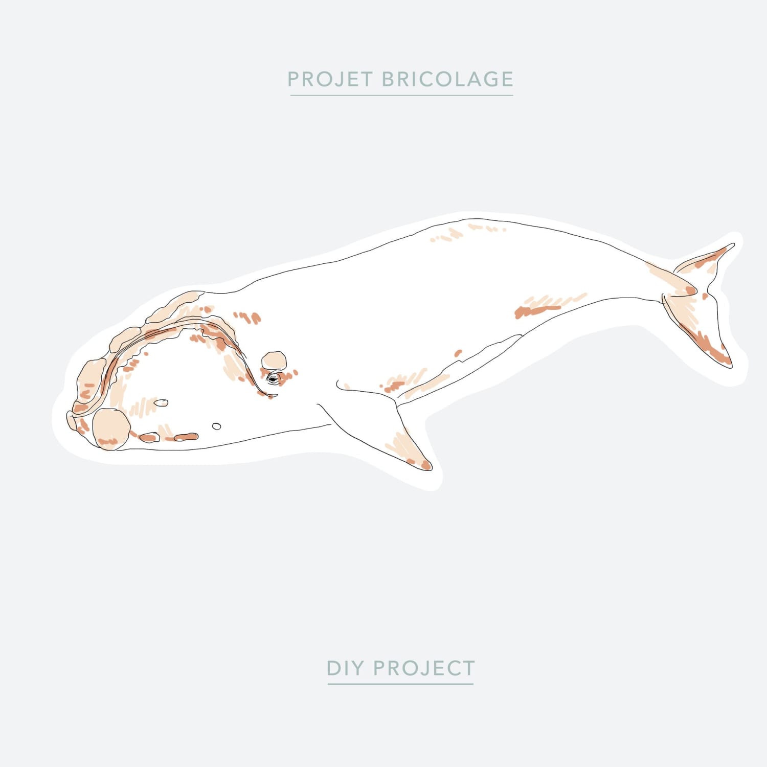 A whale colouring sheet - Baltic Club