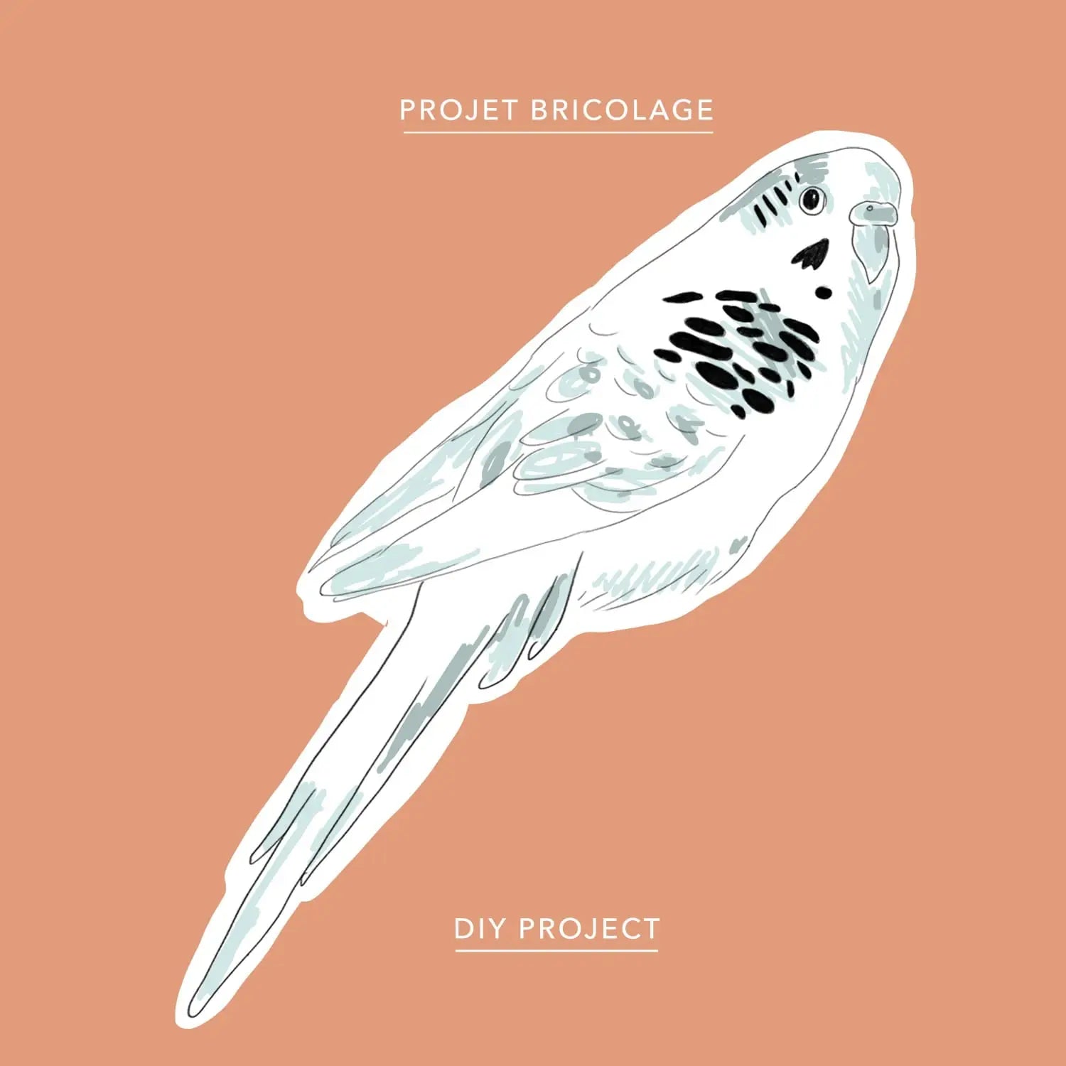 Budgies colouring sheet - Baltic Club