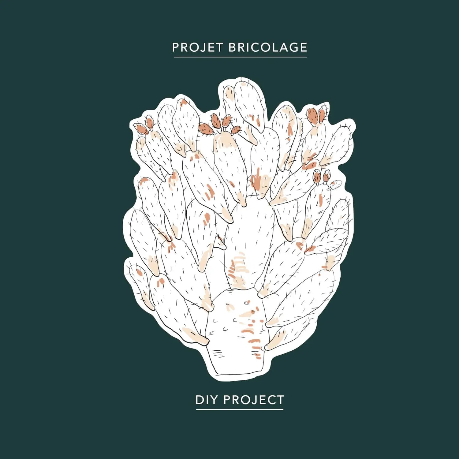 Cactuses colouring sheet - Baltic Club