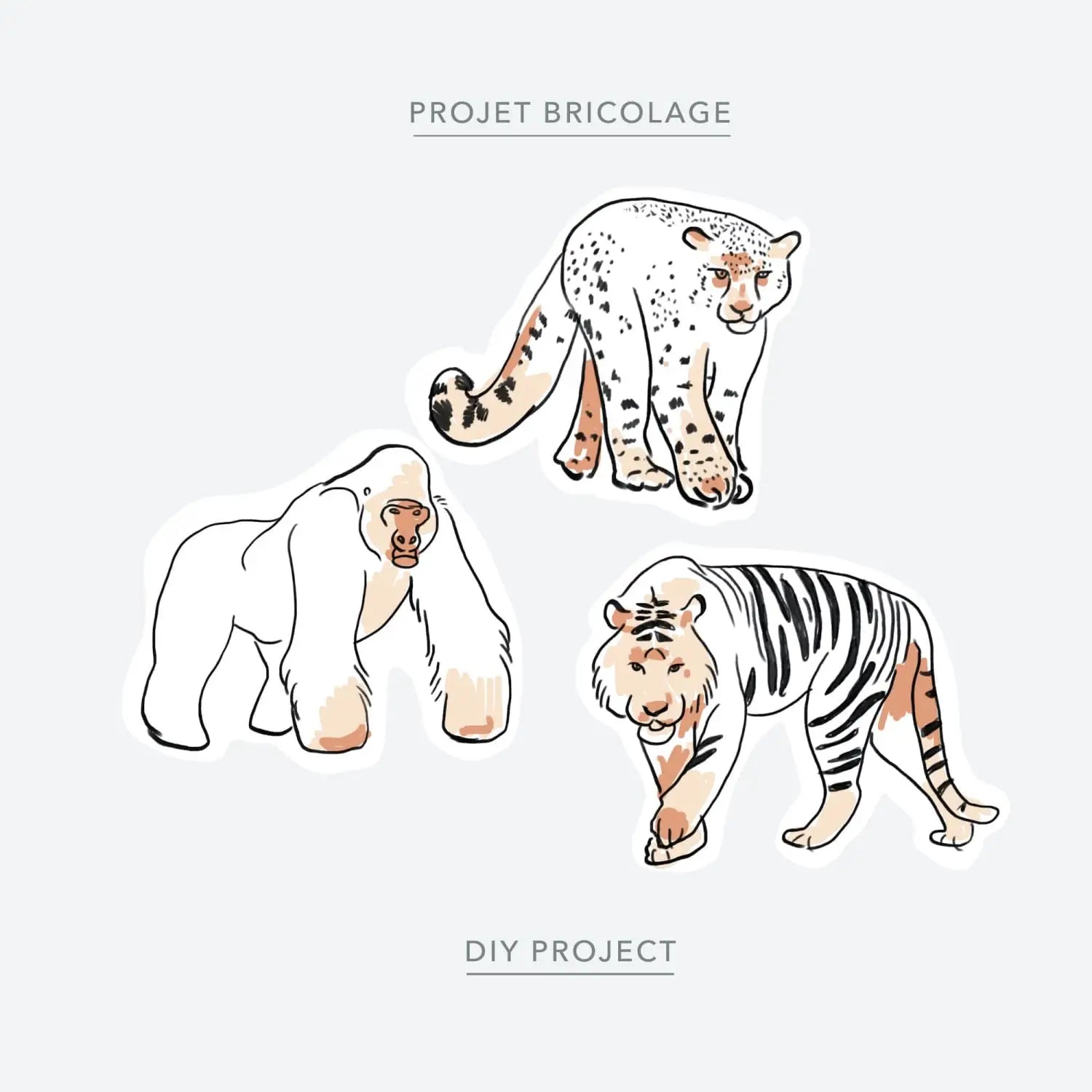 Endangered animals colouring sheet - Baltic Club