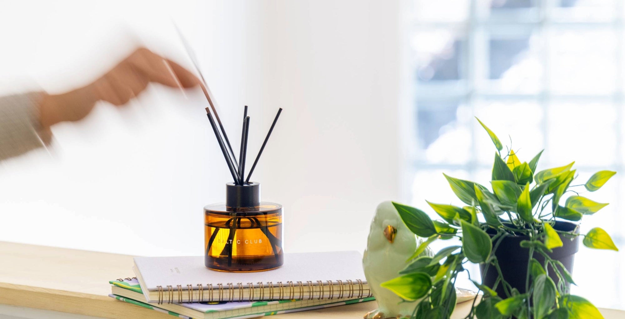 How to Use a Reed Diffuser — Placement, Maintenance, and How Long It Really Lasts - Baltic Club