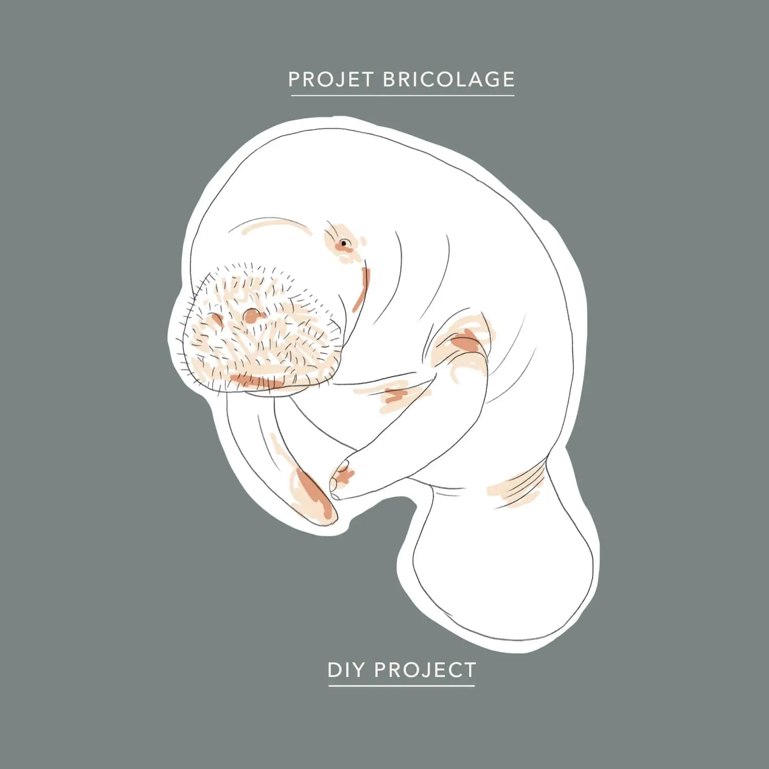 Manatee colouring sheet - Baltic Club