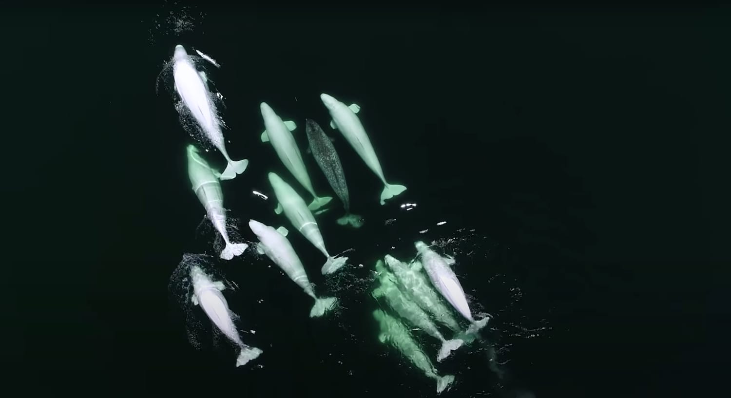 Mes inspirations - Baltic Club