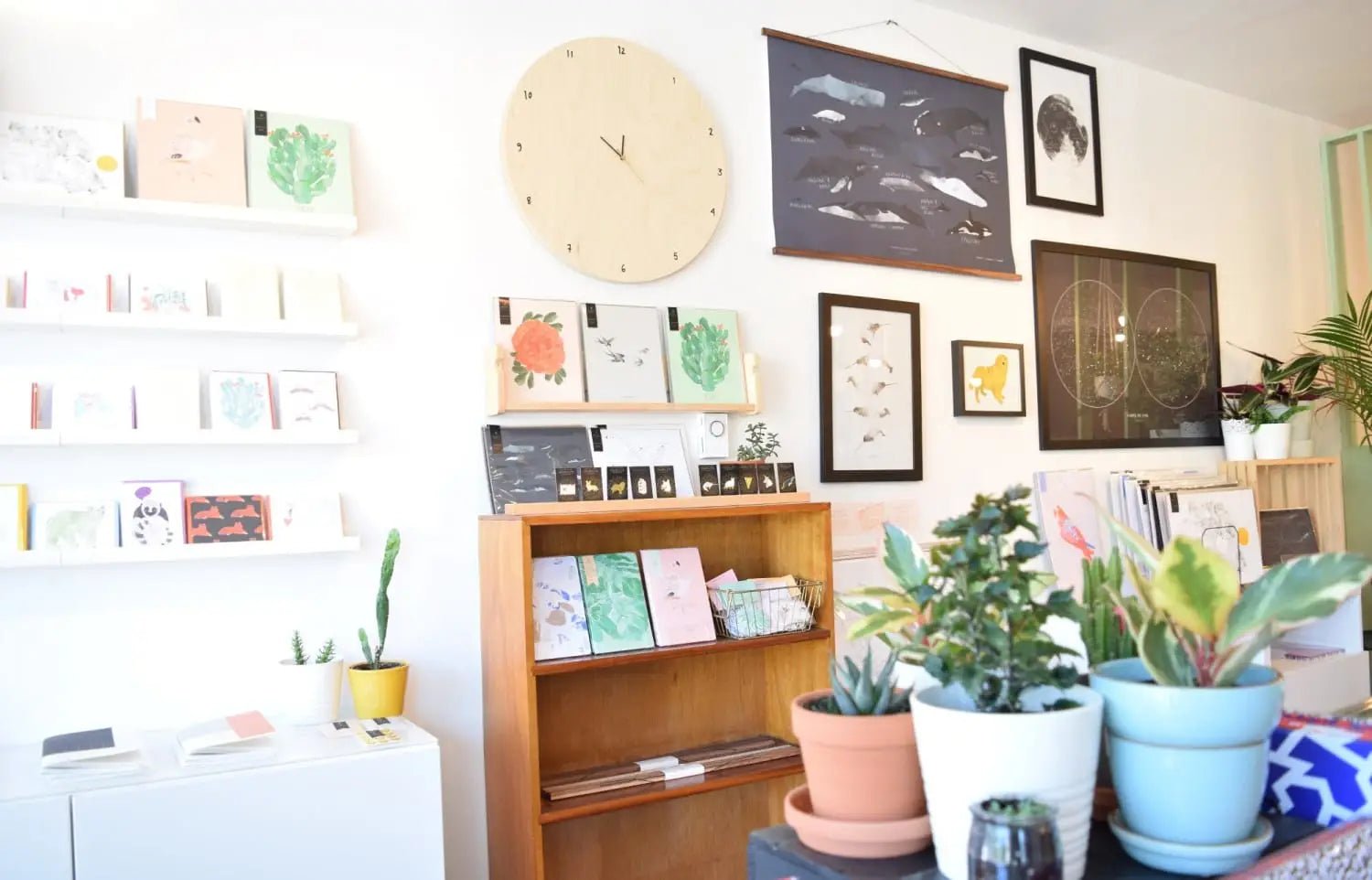 Notre boutique est ouverte! - Baltic Club