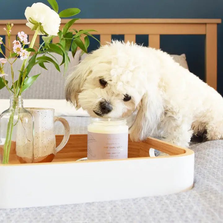 The Magic of Scented Candles: Discover Their Benefits and Find Your Ideal Fragrance. - Baltic Club