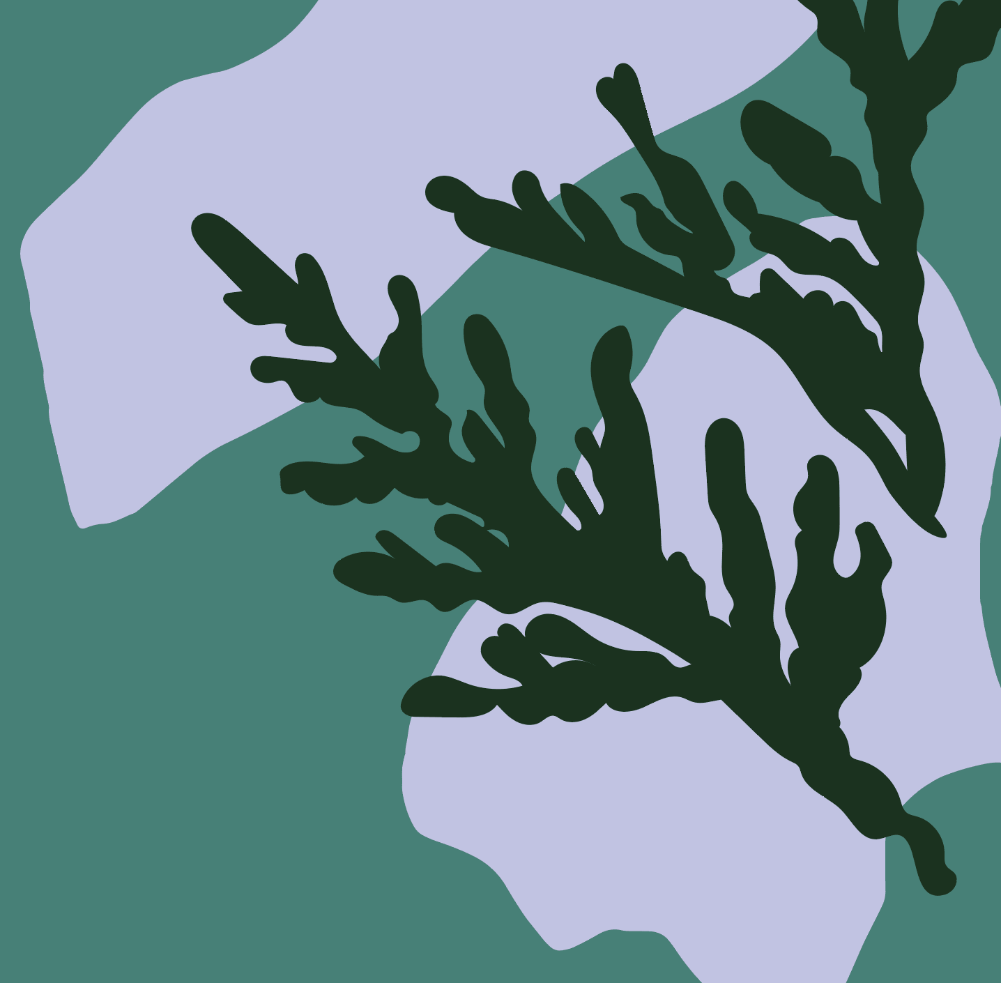Fragrance Family : Cypress & Fig - Baltic Club