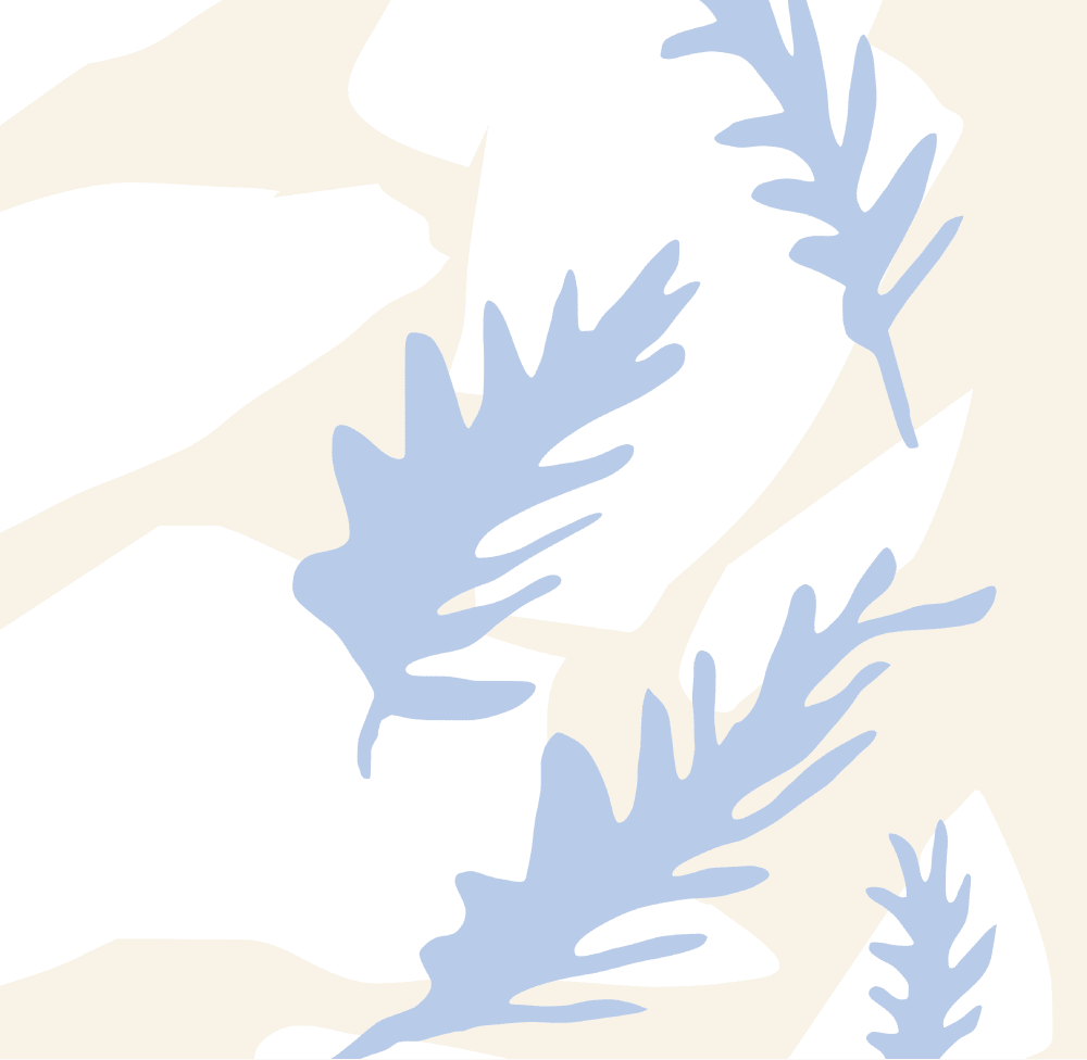 Fragrance Family: Northern Breeze - Baltic Club