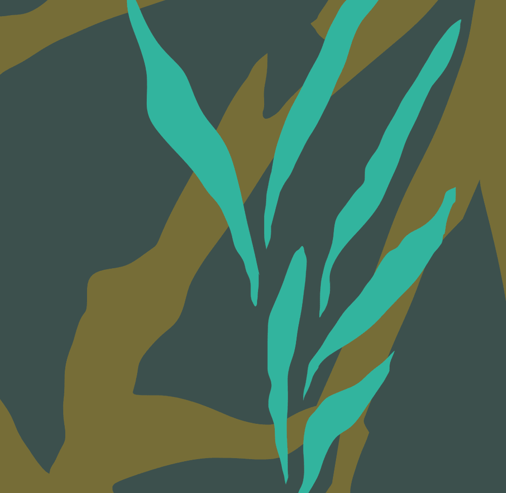 Fragrance Family: Sea grass - Baltic Club