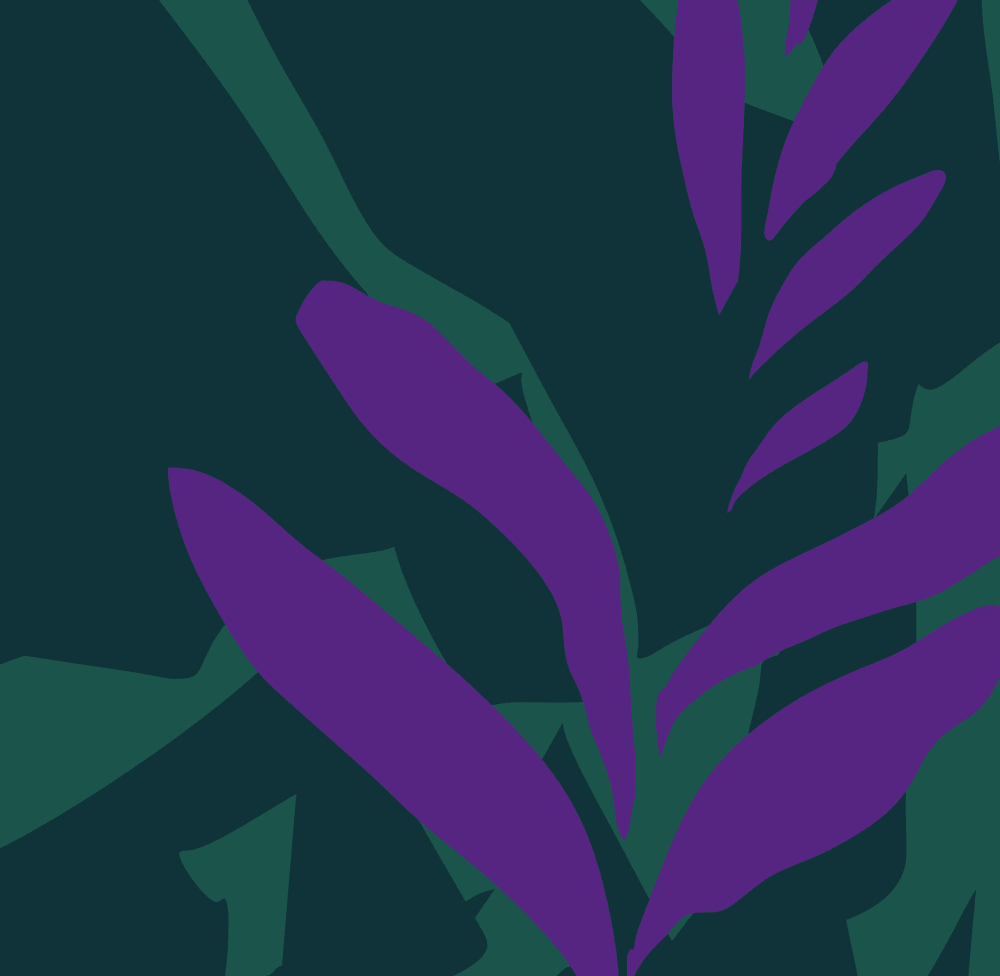 Fragrance Family: Storm - Baltic Club