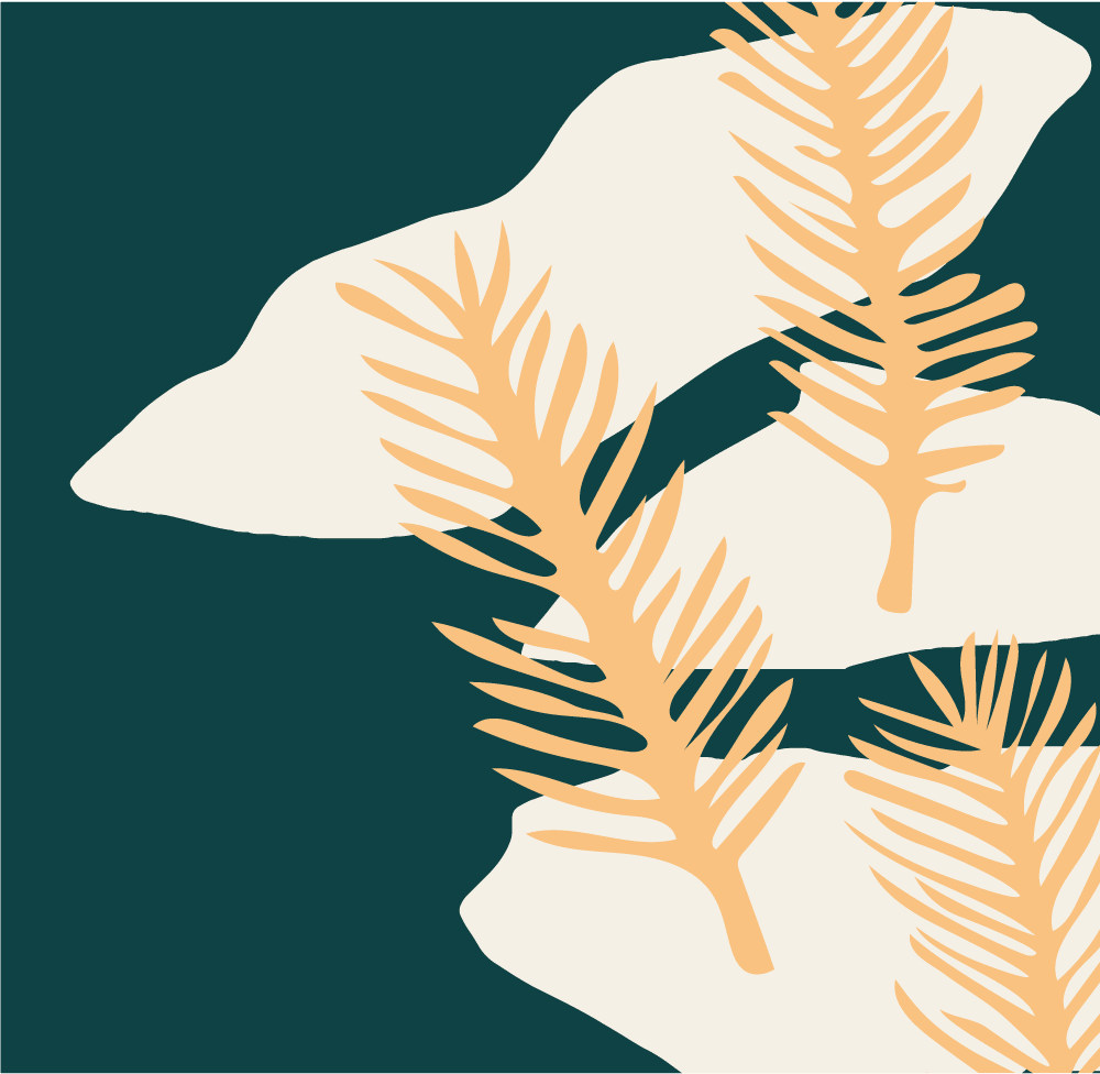 Fragrance Family: White Fir & Peach - Baltic Club