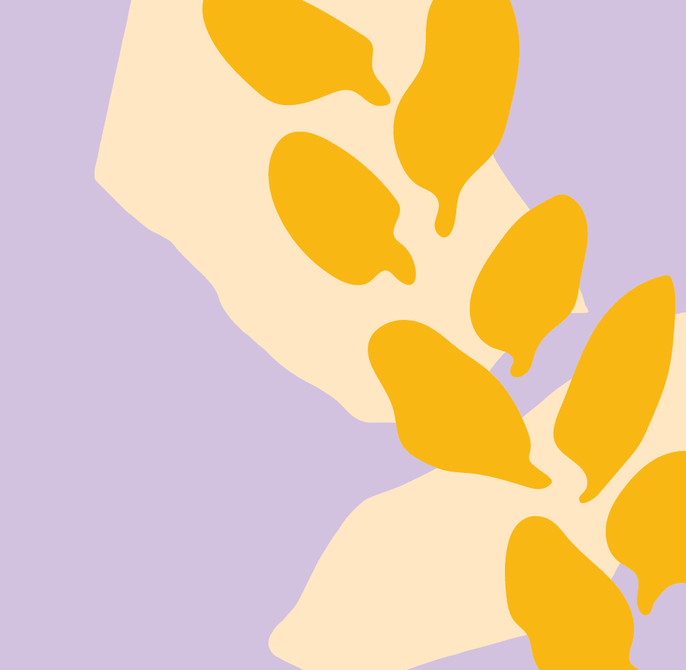 Fragrance Family: Willow Blossom - Baltic Club