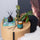 Sea Grass Fragrance Set
