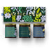 Candle Gift Set - Boreal Collection - Baltic Club