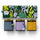 Candle Gift Set - Cozy Autumn Collection - Baltic Club