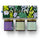 Candle Gift Set - Herbal Collection - Baltic Club