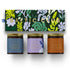 Candle Gift Set - Spicy Collection - Baltic Club