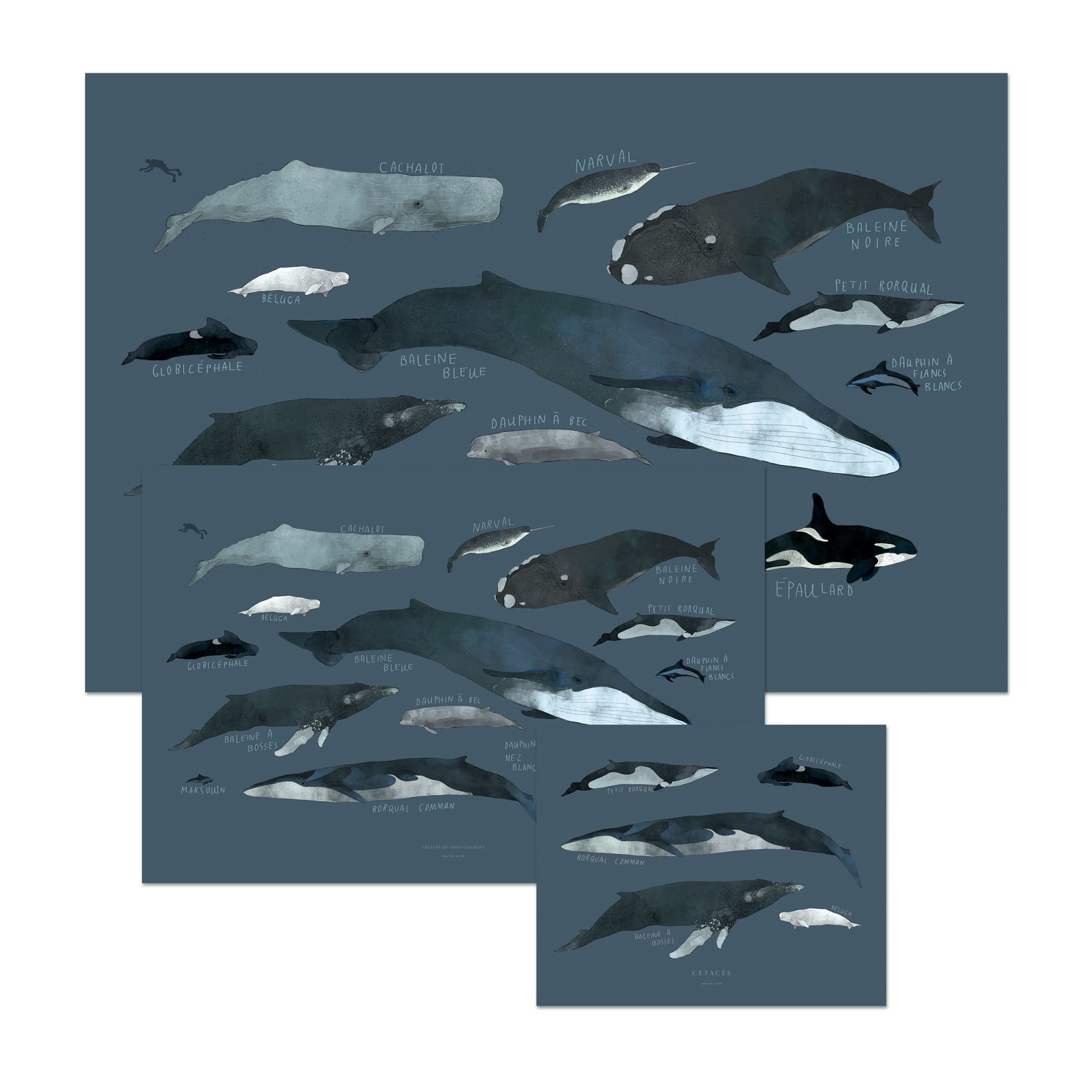 Whales Art Print - Baltic Club