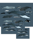 Whales Art Print - Baltic Club