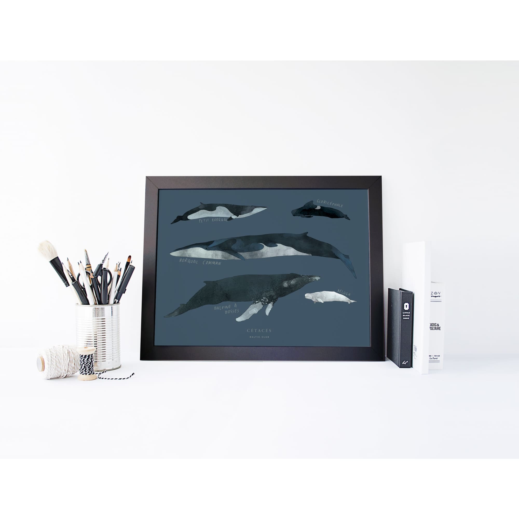 Whales Art Print - Baltic Club