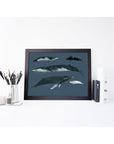 Whales Art Print - Baltic Club