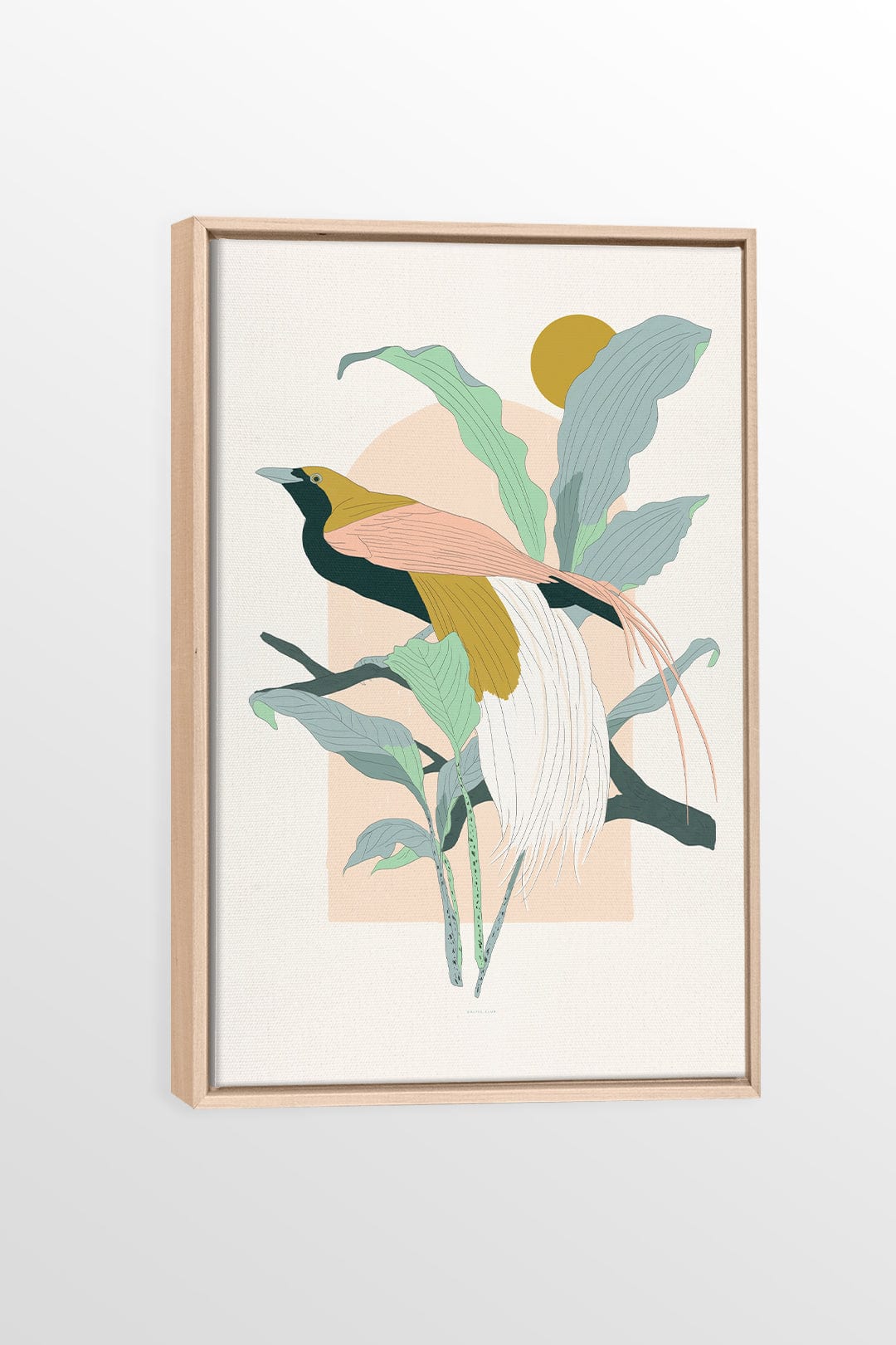 Arcade (Greater Bird of Paradise) - Printed illustration on canvas