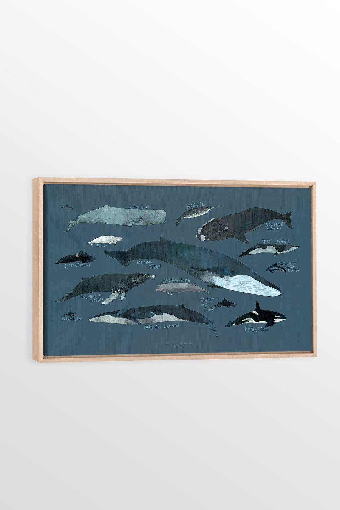 Whales - Printed illustration on canvas