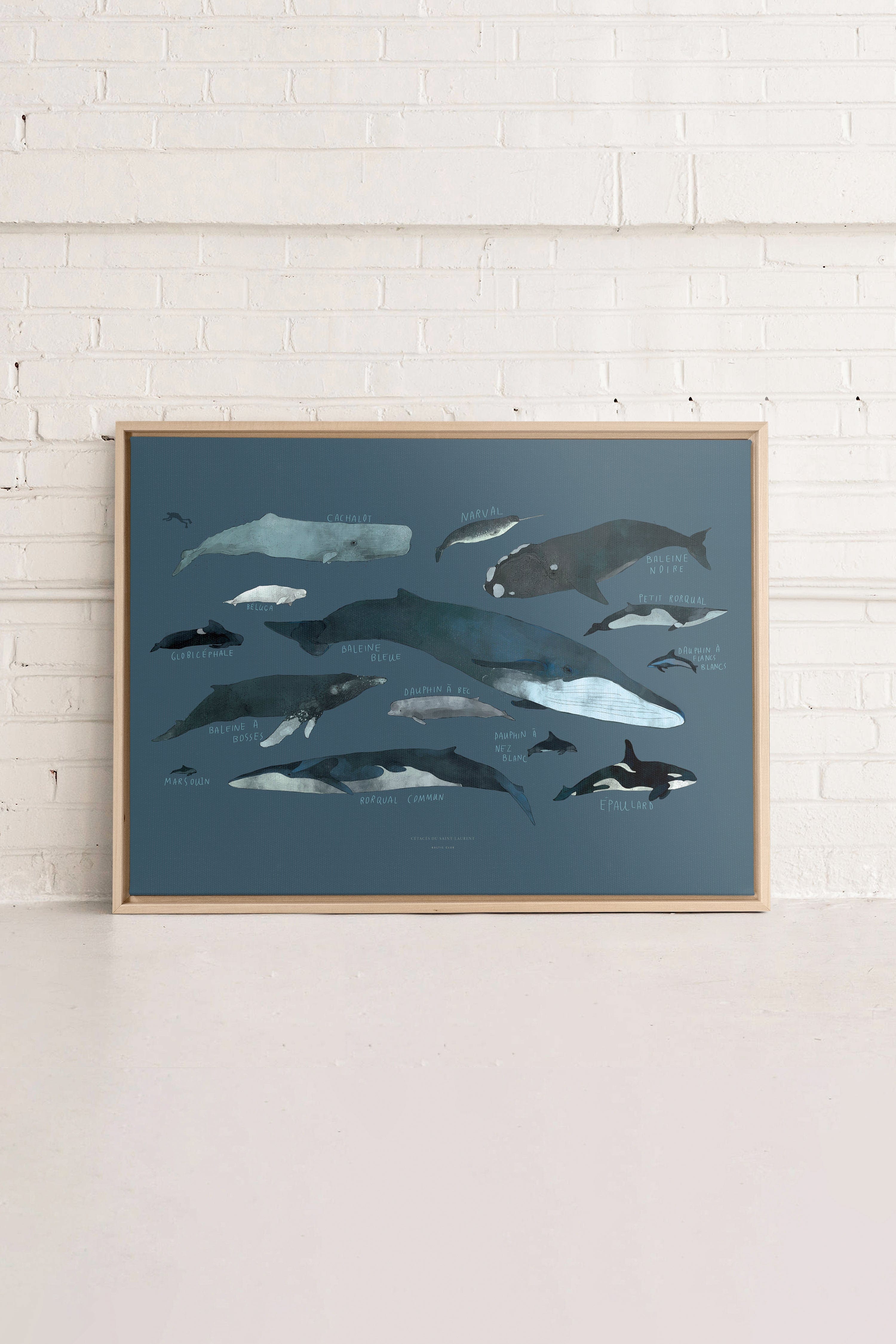 Baleines - Impression sur toile