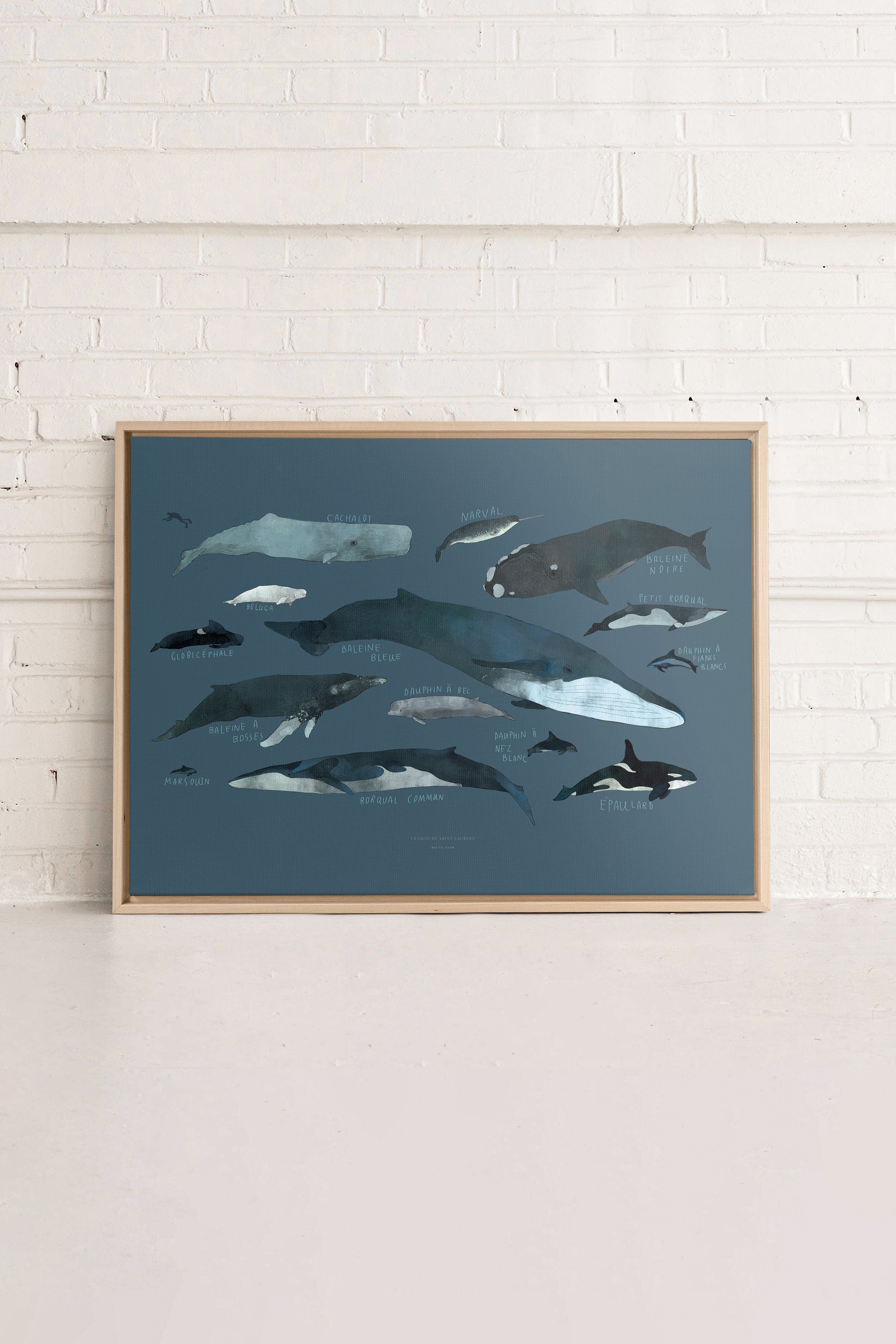 Whales - Printed illustration on canvas