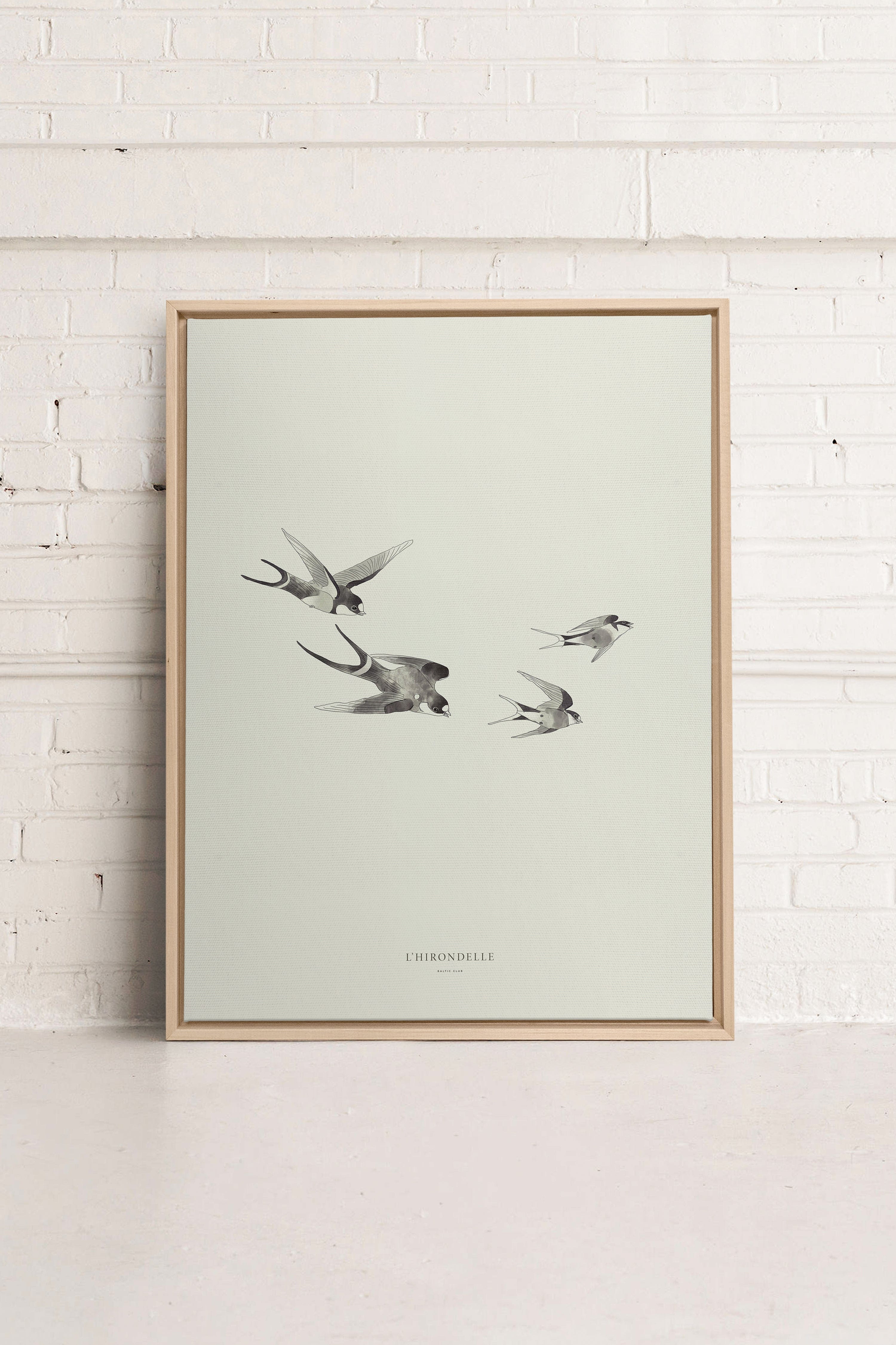 Swallow - Printed illustration on canvas