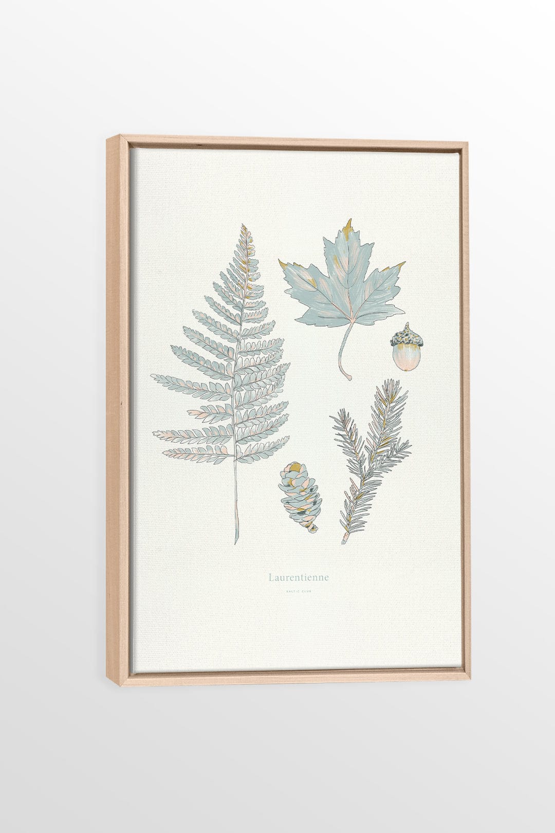 Laurentian Forest - Printed illustration on canvas