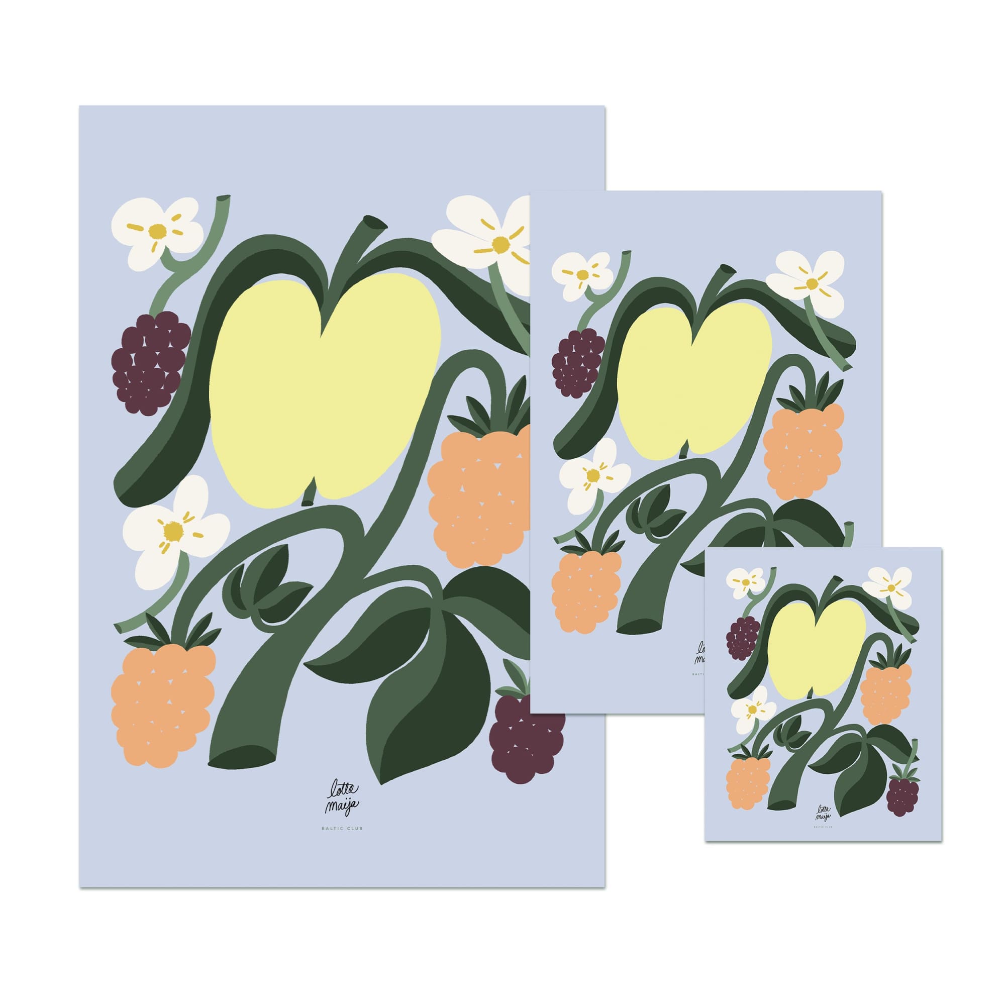 Apple Art print - Baltic Club