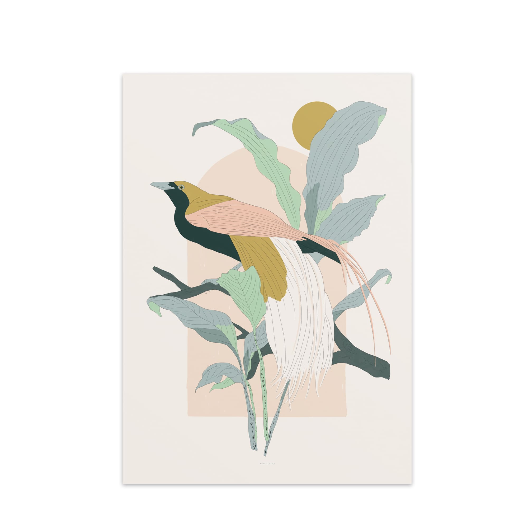 Arcade (Greater Bird - of - Paradise) Art Print - Baltic Club
