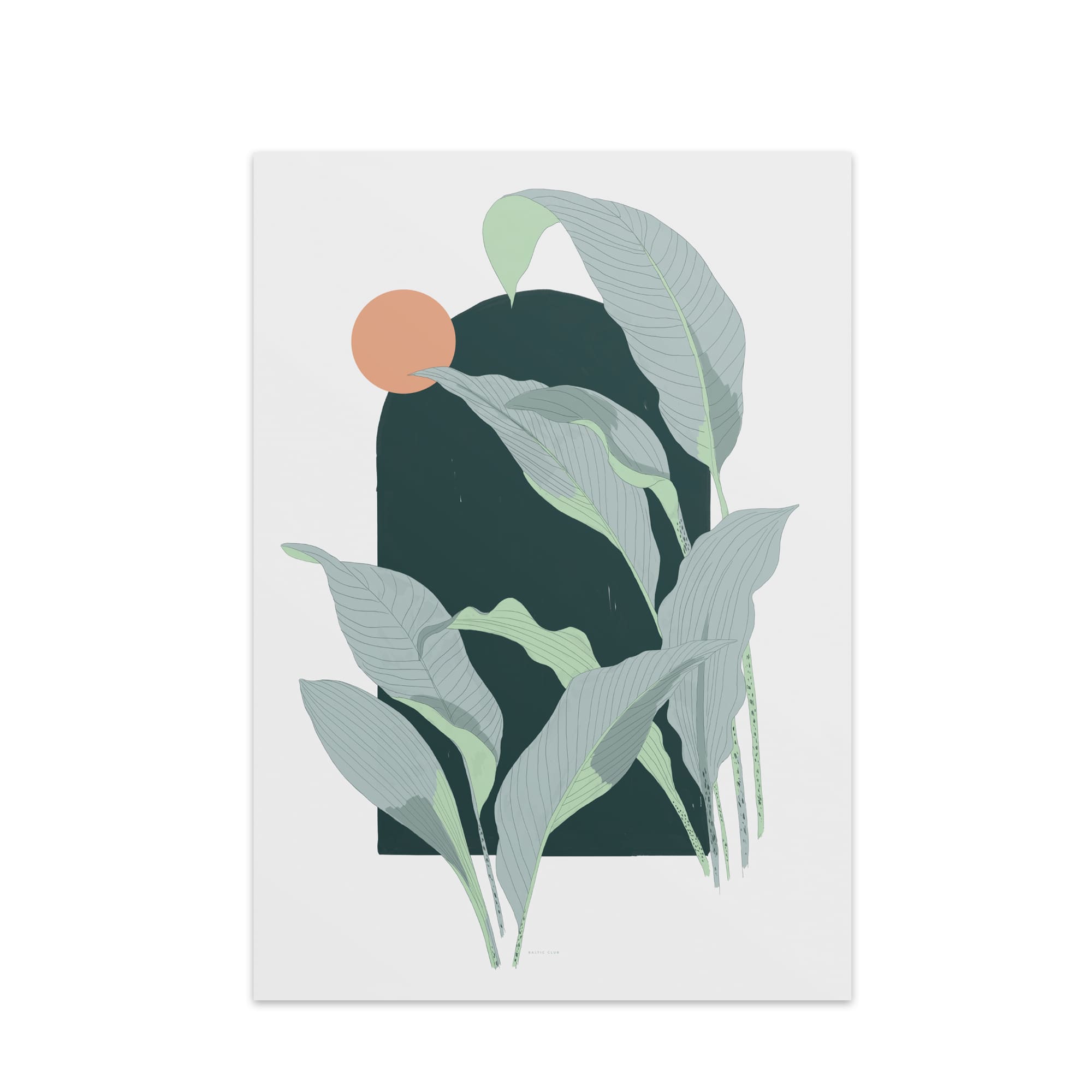 Arcade (Leafy) Art Print - Baltic Club